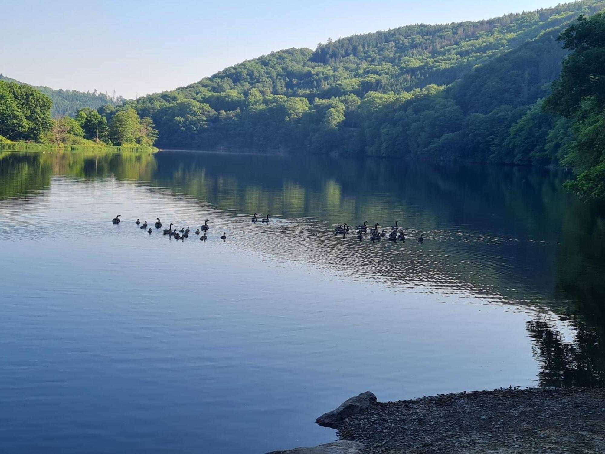 Ferienwohnung Am Rursee Simmerath Esterno foto